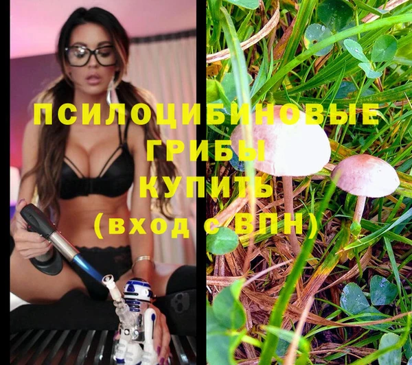 тгк Беломорск