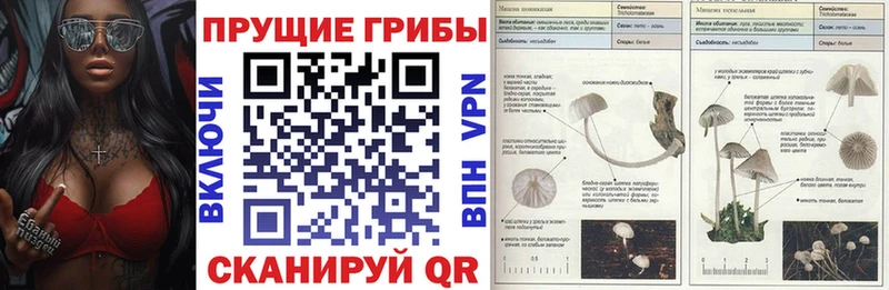 Галлюциногенные грибы GOLDEN TEACHER  Гулькевичи 