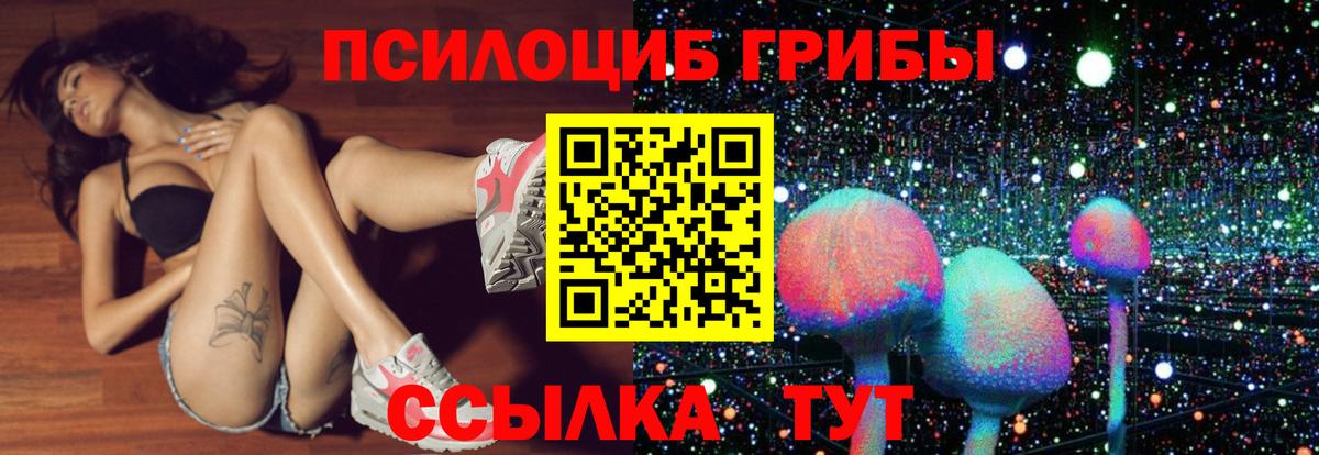 Галлюциногенные грибы прущие грибы Гулькевичи