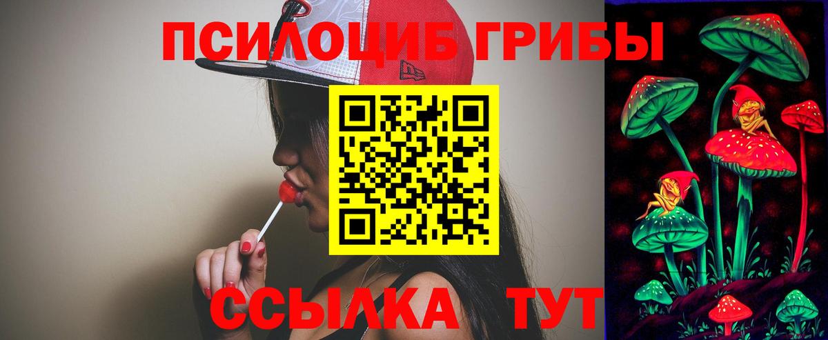 Галлюциногенные грибы Cubensis Гулькевичи